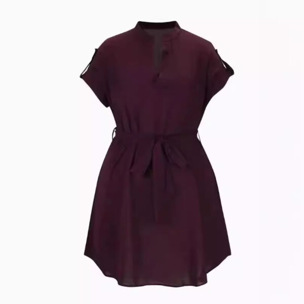 V-neck Short Sleeve Dress With Belt Summer Fashion Bowknot Dresses For Women Clothing - Image 4